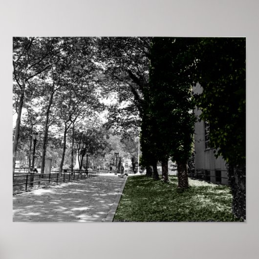 Bomen Poster (Voorkant)