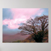 BOMEN POSTER (Voorkant)