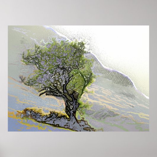 BOMEN POSTER (Voorkant)