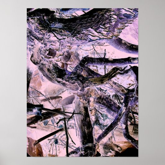 BOMEN POSTER (Voorkant)