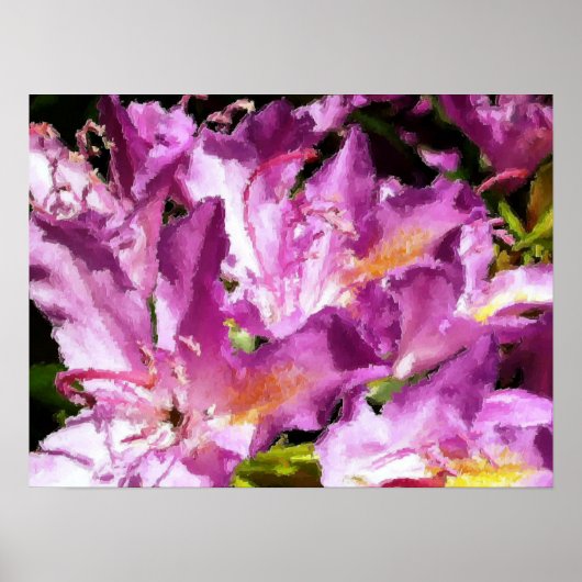 BOMEN POSTER (Voorkant)