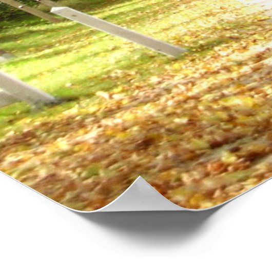 Bomen-Poster Poster (Hoek)