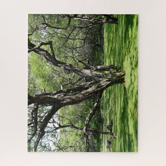 Bomen puzzel (Verticaal)
