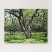 Bomen puzzel (Horizontaal)