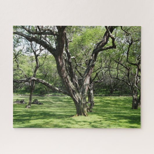 Bomen puzzel (Horizontaal)
