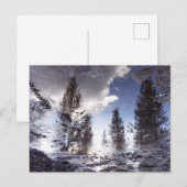 Bomen reflecteren in regenplas water briefkaart (Voorkant / Achterkant)