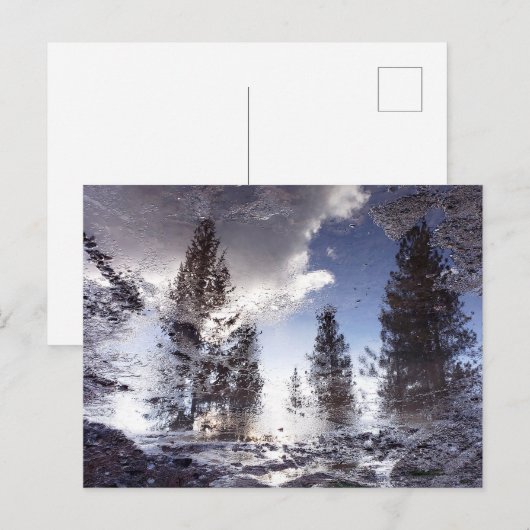 Bomen reflecteren in regenplas water briefkaart (Voorkant / Achterkant)