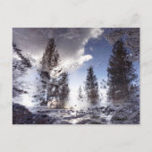 Bomen reflecteren in regenplas water briefkaart (Voorkant)