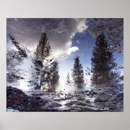 Bomen reflecteren in regenplas water poster (Voorkant)