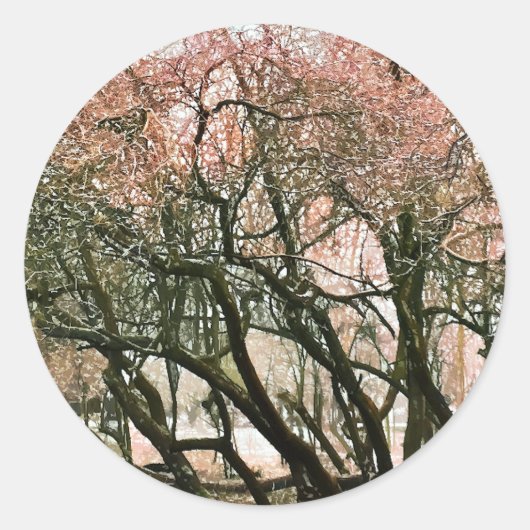 BOMEN RONDE STICKER (Voorkant)