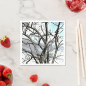 BOMEN SERVET (Insitu)