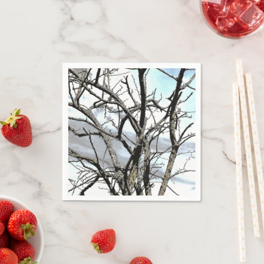 BOMEN SERVET (Insitu)