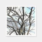 BOMEN SERVET (Voorkant)