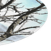 BOMEN SNIJPLANK (Hoek)