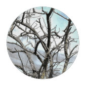 BOMEN SNIJPLANK (Voorkant)