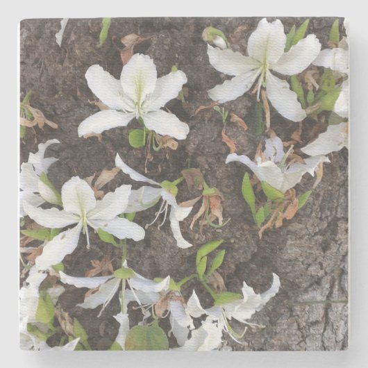 Bomen Stenen Onderzetter (Voorkant)