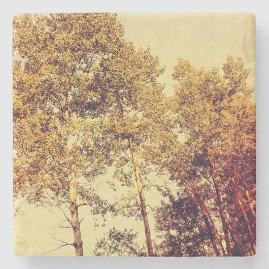 bomen stenen onderzetter (Voorkant)