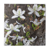 Bomen Tegeltje (Voorkant)