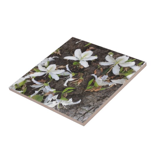 Bomen Tegeltje (Zijkant)