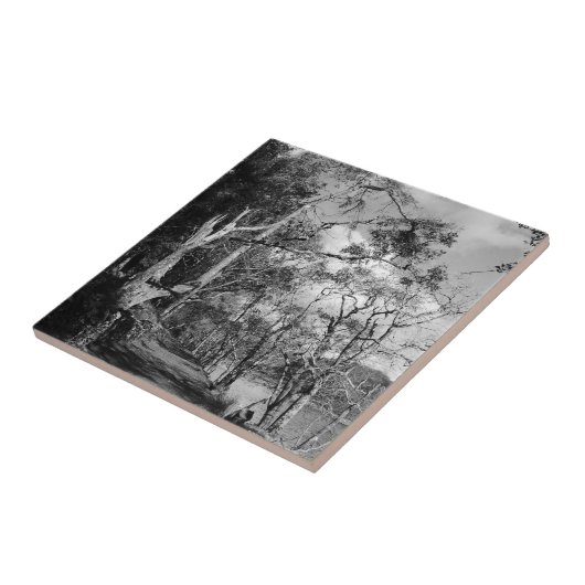 BOMEN TEGELTJE (Zijkant)