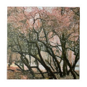 BOMEN TEGELTJE (Voorkant)