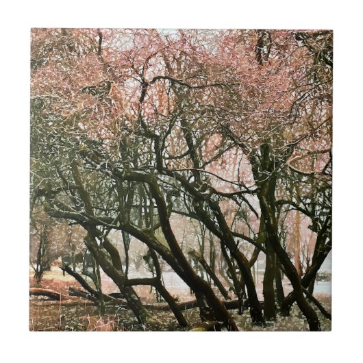 BOMEN TEGELTJE (Voorkant)