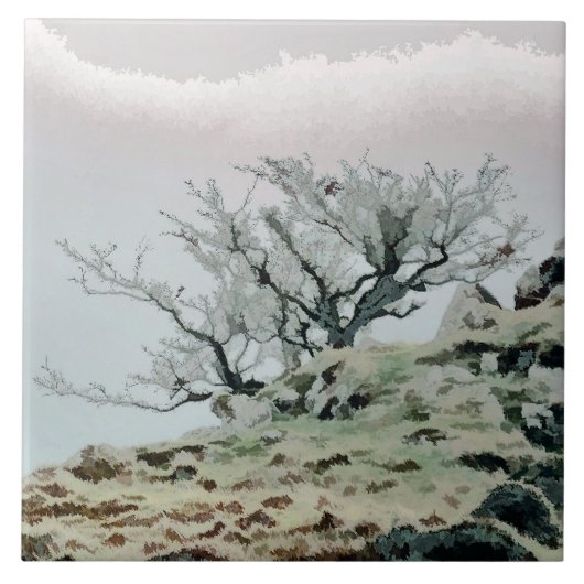 BOMEN TEGELTJE (Voorkant)