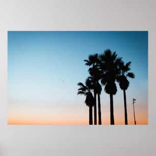 Bomen tijdens het gouden uur poster