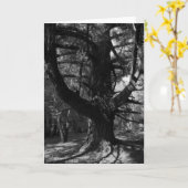 Bomen, UC Kerstman Cruz, 1963 Kaart (Gele Bloem)