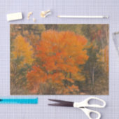 Bomen vallen bos bos oranje schets kunst tissuepapier (Craft)