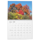 Bomen van 12 maanden kalender (Mar 2027)