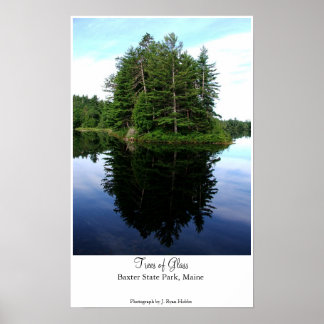 Bomen van glas poster