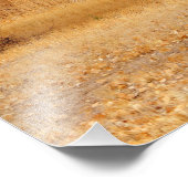 Bomen van goud foto afdruk (Hoek)