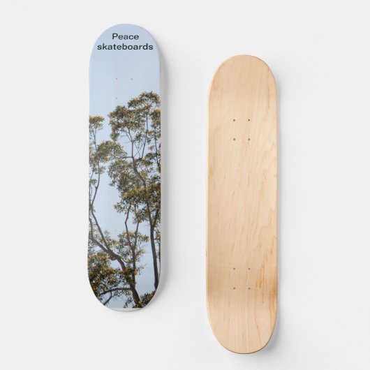 Bomen van groei en leren skateboard (Voorkant)