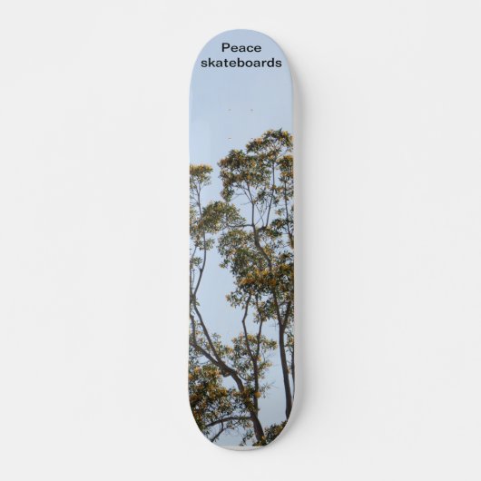 Bomen van groei en leren skateboard (Voorkant)