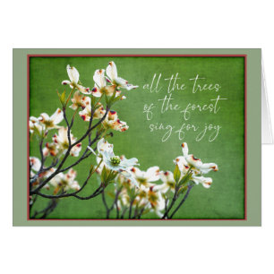 Bomen van het bos zingen voor vreugde Dogwood