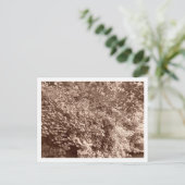 Bomen van het Kanaal Briefkaart (Staand voorkant)