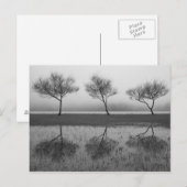 Bomen van het meer briefkaart (Voorkant / Achterkant)