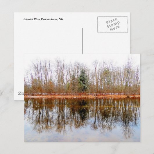 Bomen van het Seizoenpark Ashuelot Briefkaart (Voorkant / Achterkant)