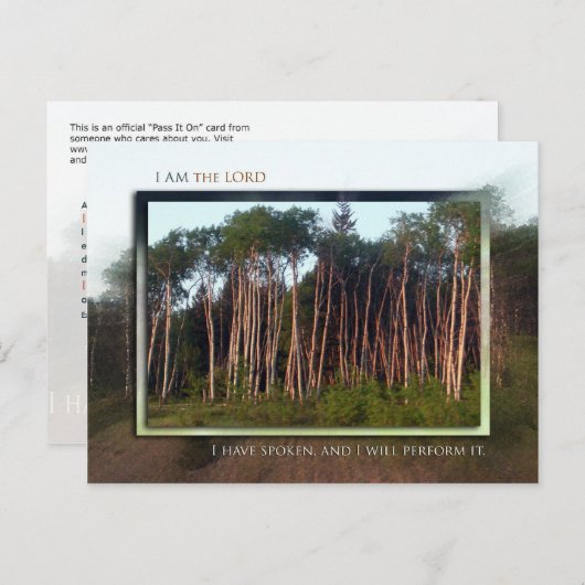 Bomen van het veld briefkaart (Voorkant / Achterkant)