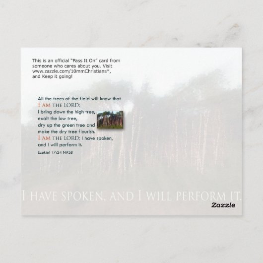 Bomen van het veld briefkaart (Achterkant)