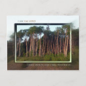 Bomen van het veld briefkaart (Voorkant)