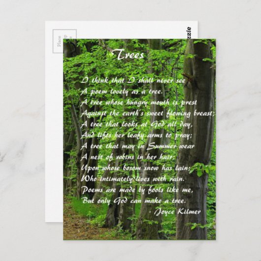 Bomen van: Joyce Klimer Briefkaart (Voorkant / Achterkant)