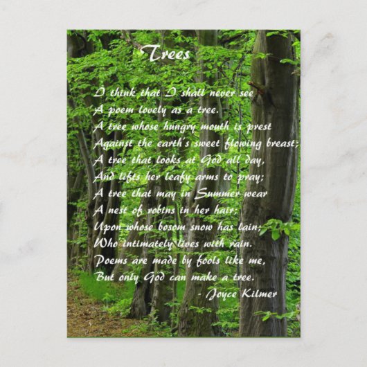 Bomen van: Joyce Klimer Briefkaart (Voorkant)