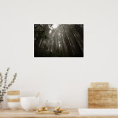 Bomen van Mystery Poster (Keuken)