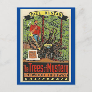Bomen van Mystery Redwood Highway California Postc Briefkaart
