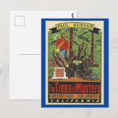 Bomen van Mystery Redwood Highway California Postc Briefkaart (Voorkant / Achterkant)