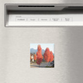 Bomen van Sinaasappel in het najaar Magneet (Insitu (Vaatwasser))