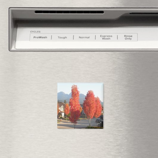 Bomen van Sinaasappel in het najaar Magneet (Insitu (Vaatwasser))