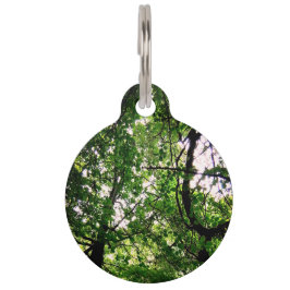 Bomen vertakt huisdierpenning
